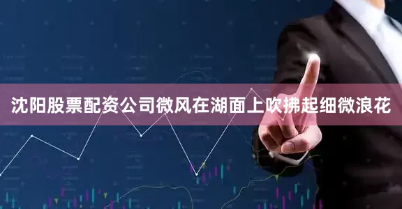 沈阳股票配资公司微风在湖面上吹拂起细微浪花