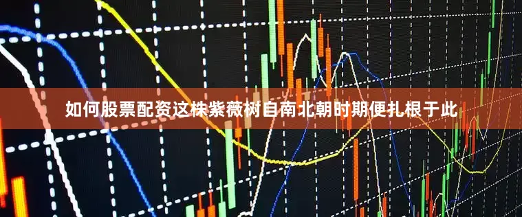 如何股票配资这株紫薇树自南北朝时期便扎根于此