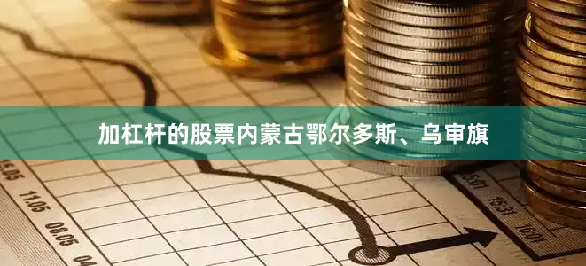 加杠杆的股票内蒙古鄂尔多斯、乌审旗