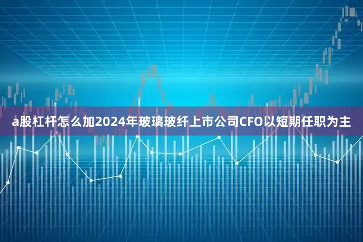 a股杠杆怎么加2024年玻璃玻纤上市公司CFO以短期任职为主