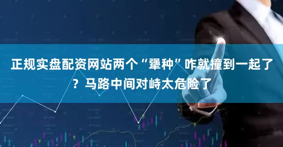 正规实盘配资网站两个“犟种”咋就撞到一起了？马路中间对峙太危险了
